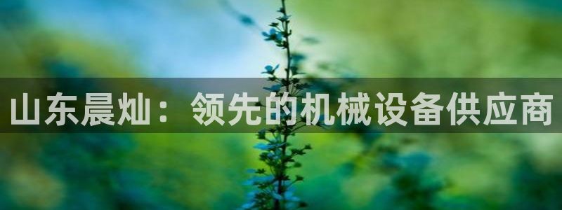 九游会游戏平台是什么