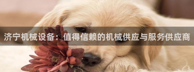 九游会首页官网