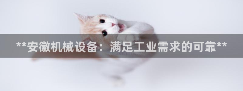 九游会国际厅