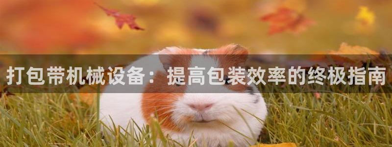 九游会app官方