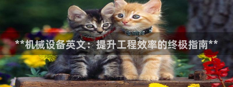 J9九游会九游国际版