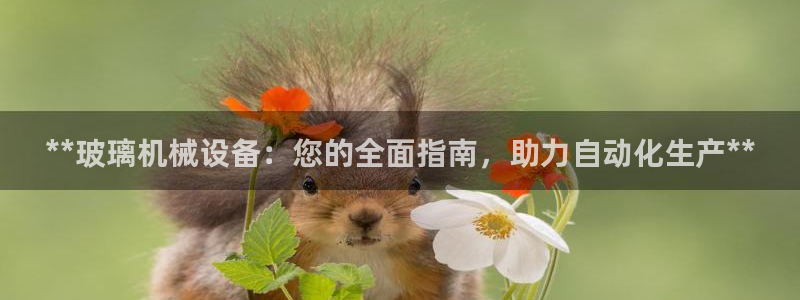 九游会官网网址