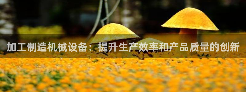 九游会官网进入