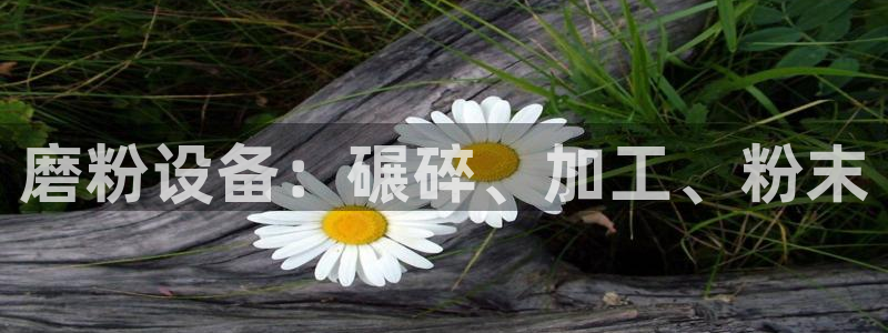 j9363九游会首页