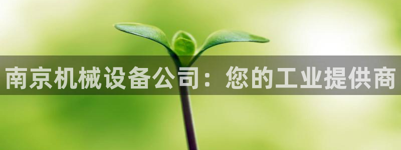 九游会登不上