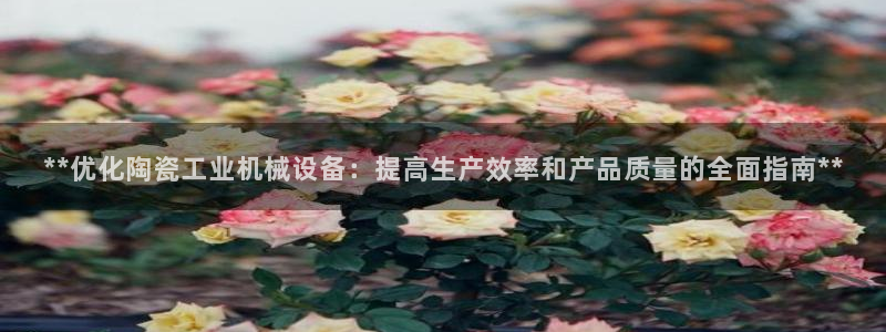 九游会中国j9