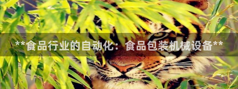 九游会亚洲官网