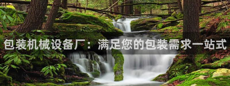 ag老玩家