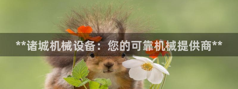 j9九游会老哥俱乐部介绍