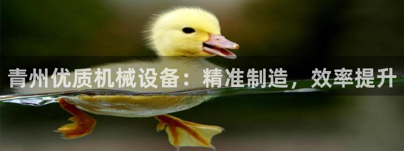 ag九游会登录j9入口
