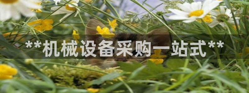 ag怎么变成九游会了