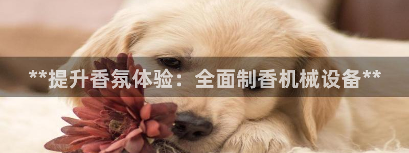 ag九游会
