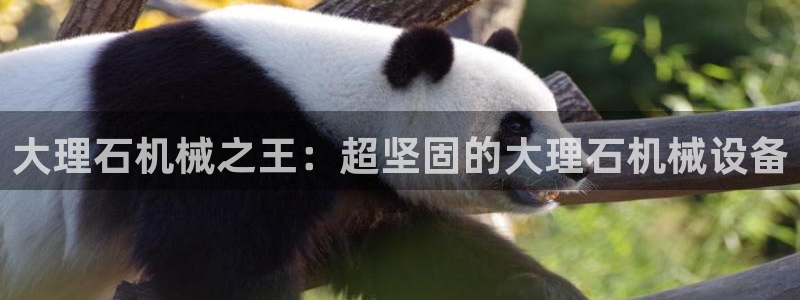 九游会真假：大理石机