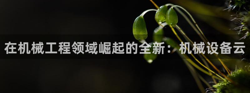 九游会j9国际站 -