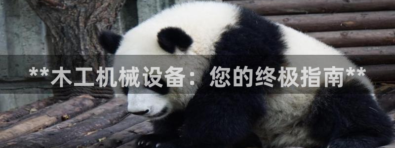 九游会AG注册送388