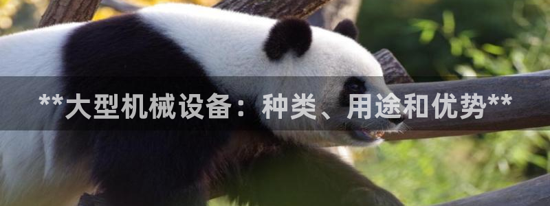 九游会账号登录网址