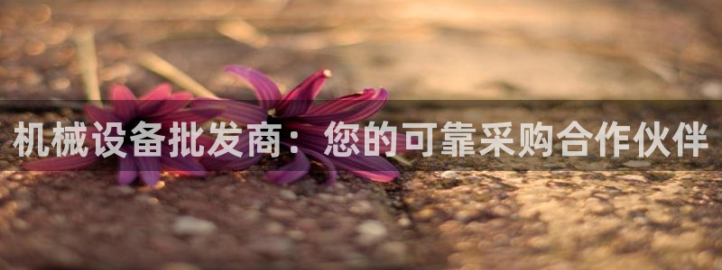 九游会j9官方登录入口