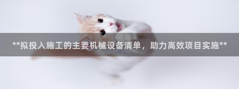 九游会登录网站吗