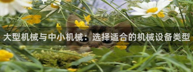 九游会网站登录