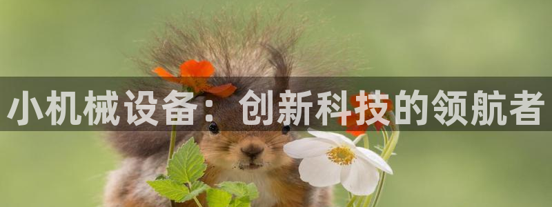 九游会亚洲第一