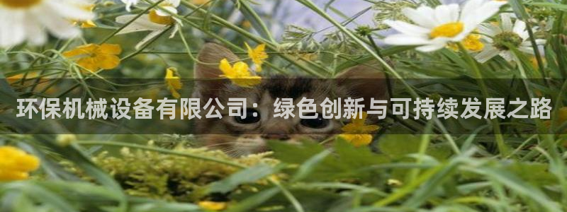 J9九游会手机登录