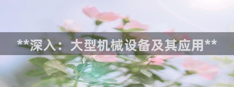 九游会ag网址大全专业版