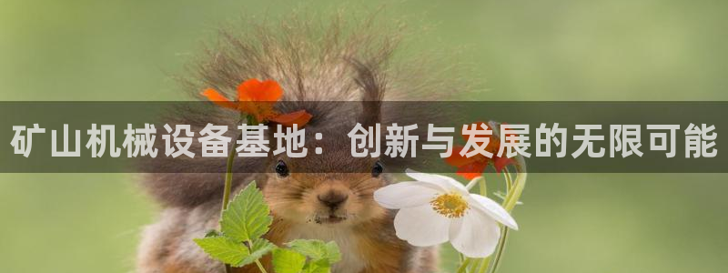 九游会官网进入口