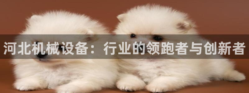 九游会ag老哥俱乐部