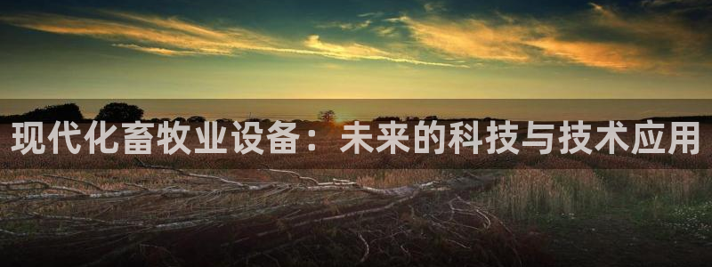 J9九游会老网站