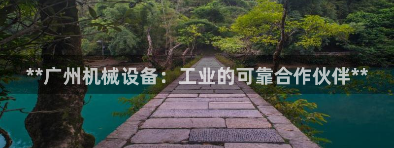 九游会ag平台：**